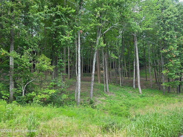 7 Cave Creek Rd, Falls Of Rough, KY 40119