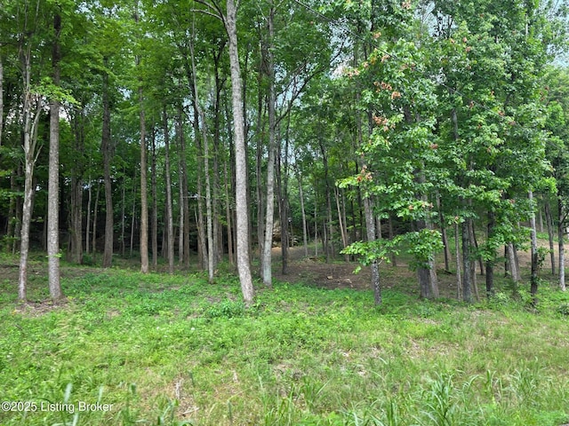 7 Cave Creek Rd, Falls Of Rough, KY 40119