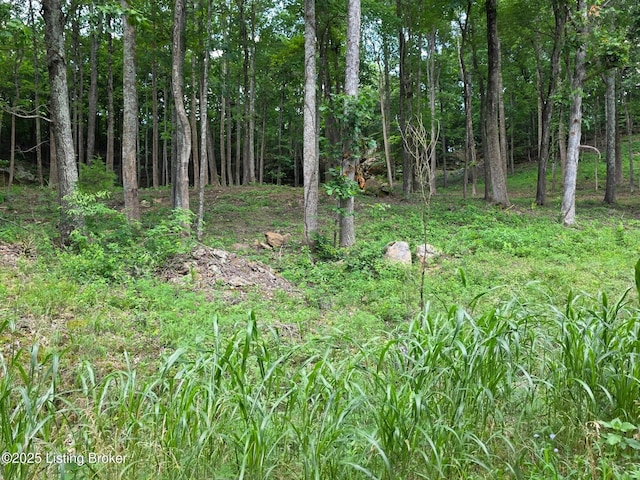 7 Cave Creek Rd, Falls Of Rough, KY 40119