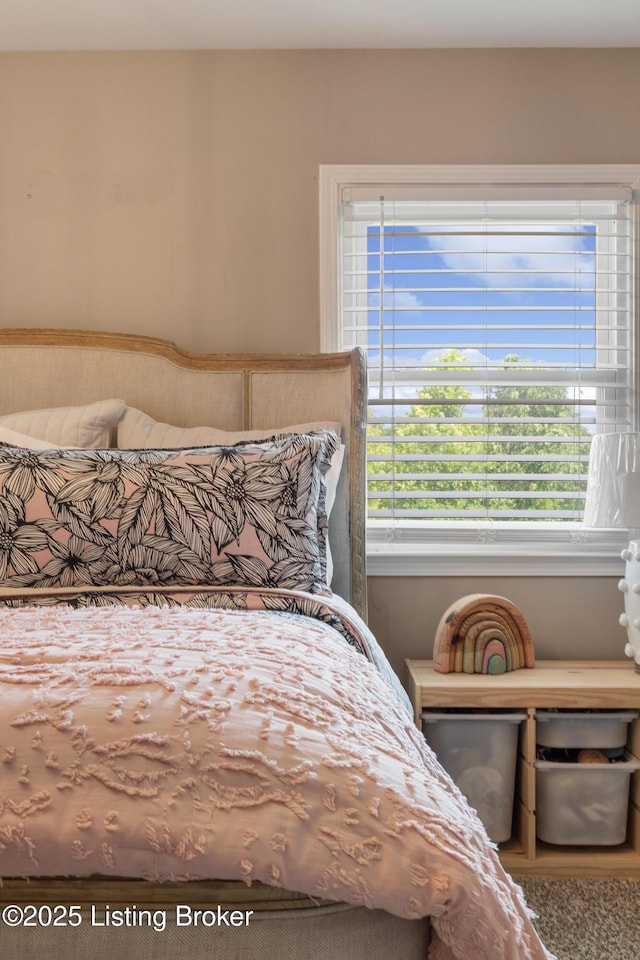 10020 Oak Grove Rd, Louisville, KY 40291 - view of bedroom