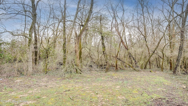 289 Elm Tree Pl, Eminence, KY 40019 - photo 54