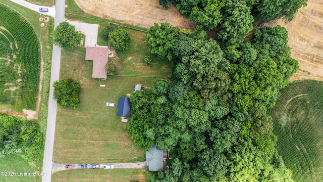 2625 Shumate Rd, Ekron, KY 40117 - aerial view of property's location