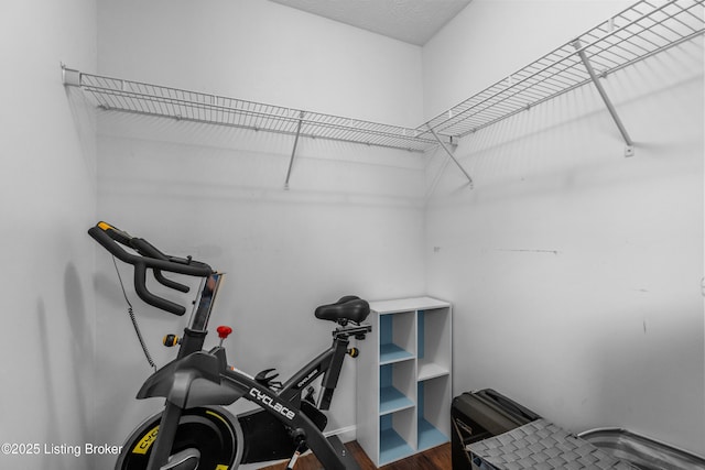 10008 Hornbeam Blvd, Louisville, KY 40228 - exercise area featuring dark wood finished floors