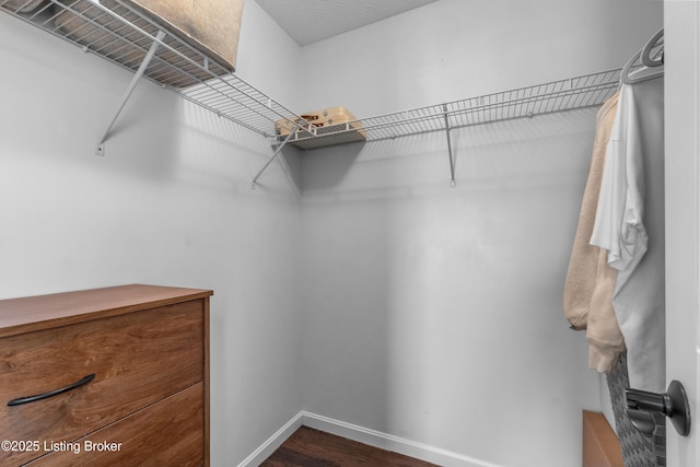 10008 Hornbeam Blvd, Louisville, KY 40228 - spacious closet featuring dark wood-style flooring