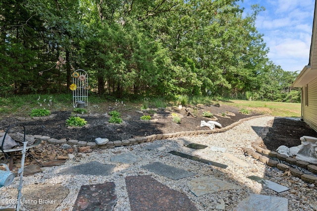 4333 Wax Rd, Clarkson, KY 42726 - view of yard with a patio