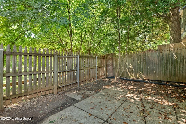 1208 Dalmally Ct, Louisville, KY 40222 - photo 37