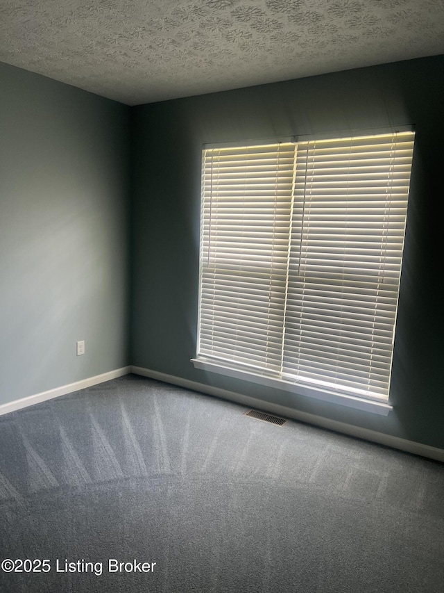 9403 Alex Ct, Louisville, KY 40299 - empty room featuring carpet and a textured ceiling
