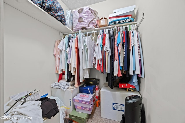 1291 Lipps Ln, Louisville, KY 40219 - view of walk in closet