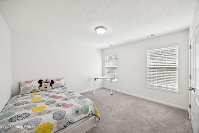 14433 Halden Ridge Way, Louisville, KY 40245 - bedroom featuring carpet and a textured ceiling