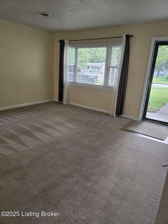 9907 Plaudit Way, Louisville, KY 40272 - carpeted empty room featuring baseboards and a textured ceiling