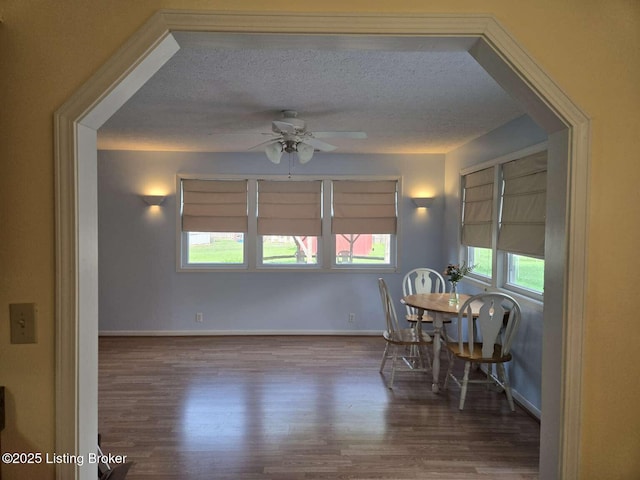 9907 Plaudit Way, Louisville, KY 40272 - dining room featuring wood finished floors, ceiling fan, and a textured ceiling