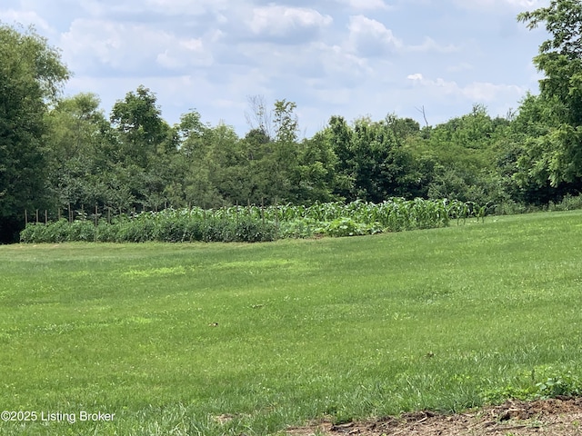 2395 Giltner Rd, Smithfield, KY 40068 - photo 39