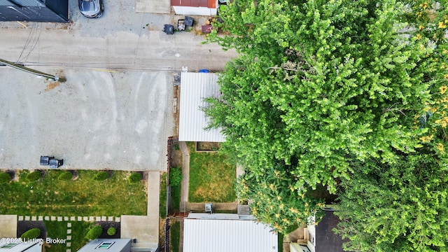 509 Lilly Ave, Louisville, KY 40217 - photo 32