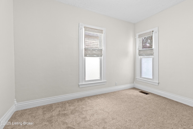 509 Lilly Ave, Louisville, KY 40217 - photo 14