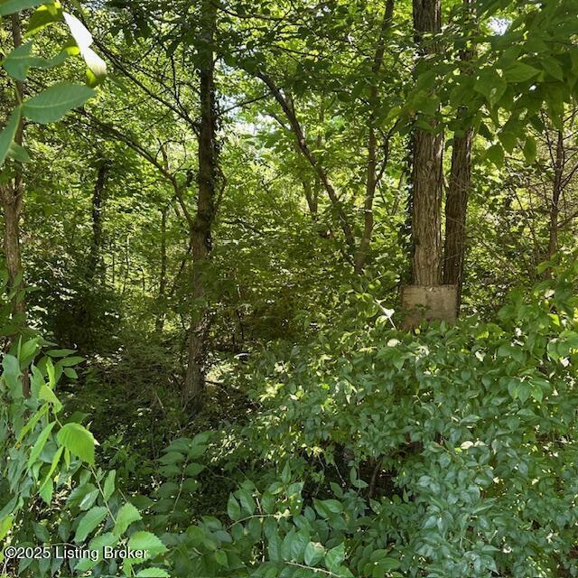 0 Locust St, Mt Washington, KY 40047 - photo 3