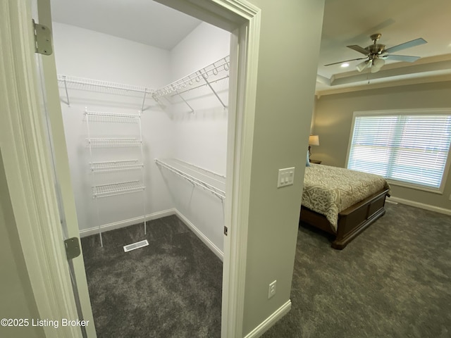 7508 Pavilion Park Rd, Louisville, KY 40214 - spacious closet featuring carpet flooring, ceiling fan, and a tray ceiling