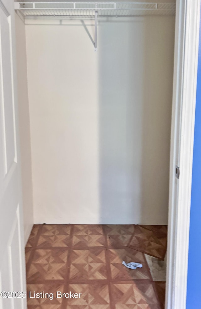 599 Ritchie Dr, Brandenburg, KY 40108 - view of closet