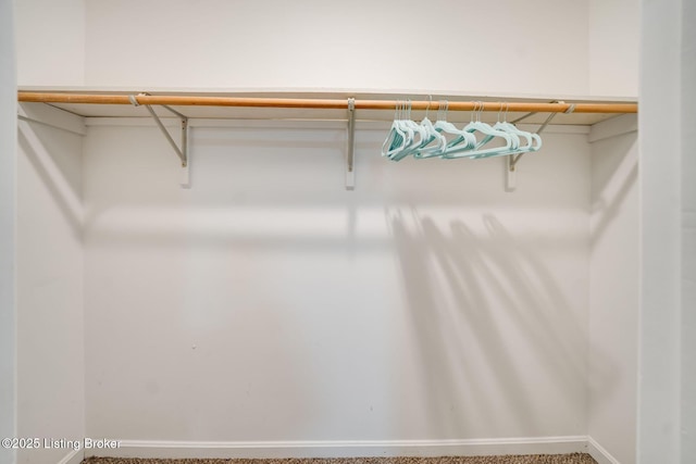 2700 Pioneer Ct, Radcliff, KY 40160 - view of walk in closet