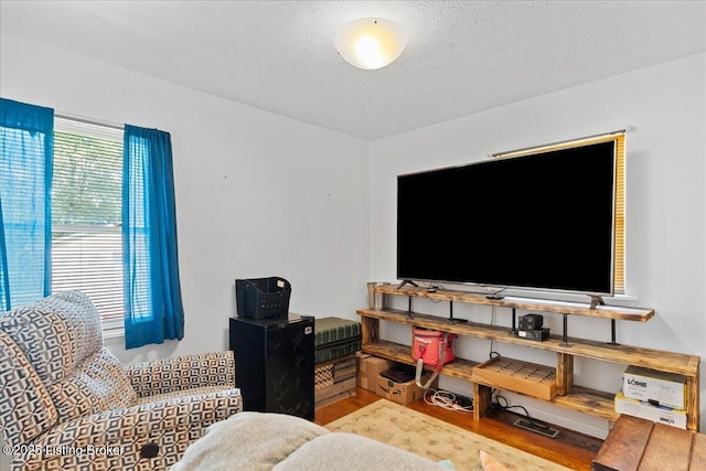 3706 Glenlea Way, Jeffersontown, KY 40299 - living room featuring wood finished floors and a textured ceiling
