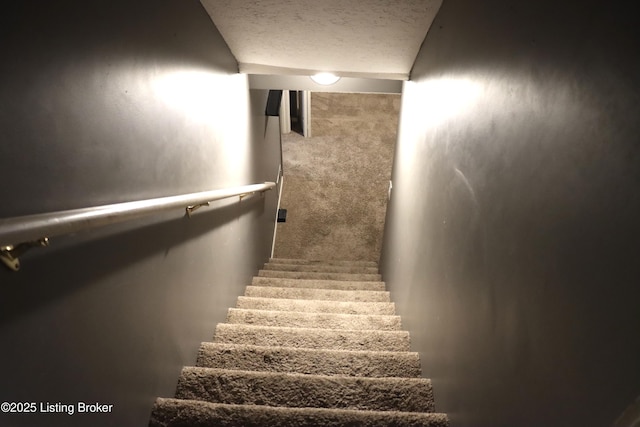 8702 Mckenna Way, Louisville, KY 40291 - photo 57
