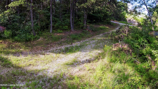 0 Grayson Springs Rd, Clarkson, KY 42726