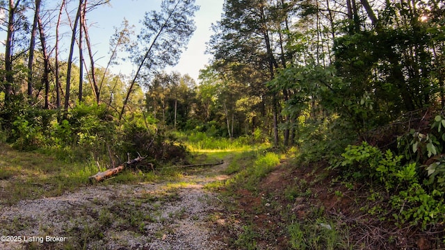 0 Grayson Springs Rd, Clarkson, KY 42726