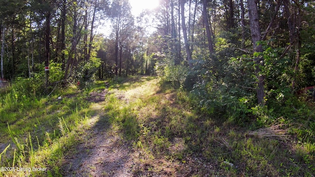 0 Grayson Springs Rd, Clarkson, KY 42726
