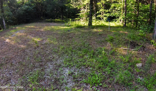 0 Grayson Springs Rd, Clarkson, KY 42726