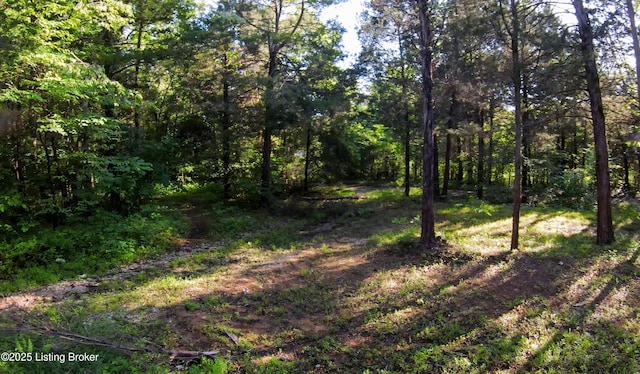 0 Grayson Springs Rd, Clarkson, KY 42726