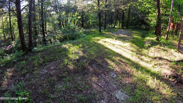 0 Grayson Springs Rd, Clarkson, KY 42726