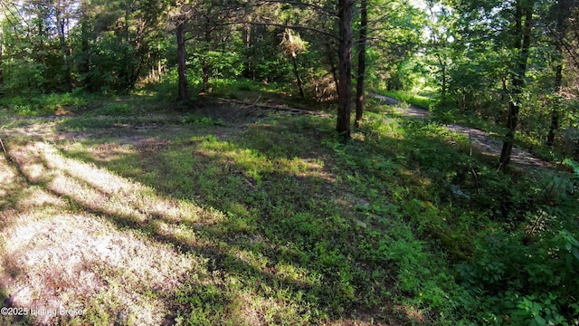 0 Grayson Springs Rd, Clarkson, KY 42726