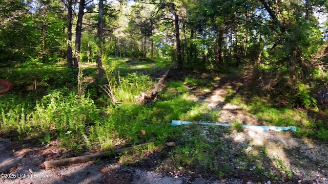 0 Grayson Springs Rd, Clarkson, KY 42726