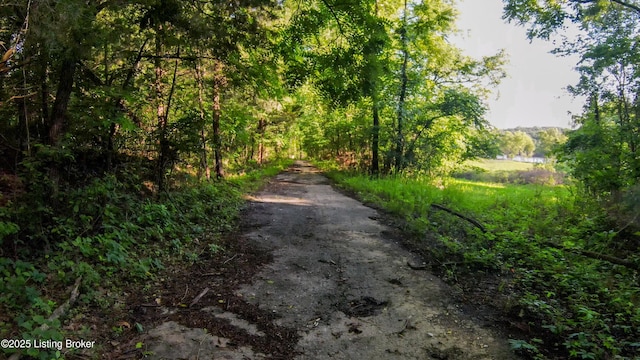 0 Grayson Springs Rd, Clarkson, KY 42726