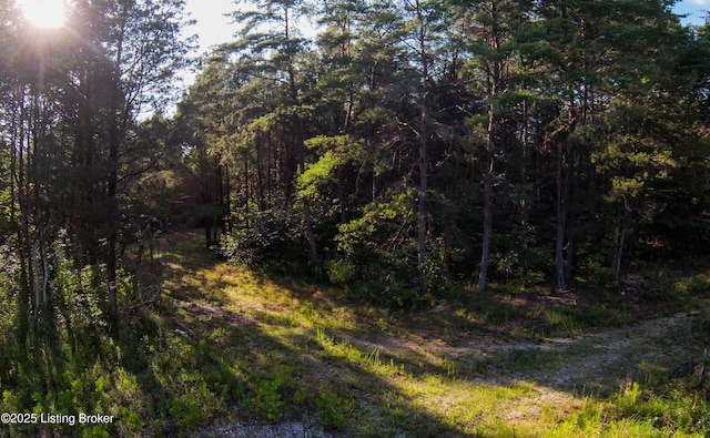 0 Grayson Springs Rd, Clarkson, KY 42726