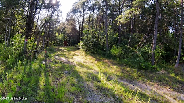 0 Grayson Springs Rd, Clarkson, KY 42726