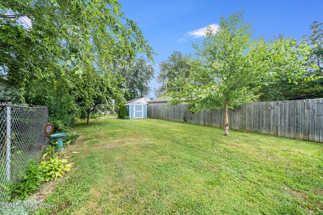 1021 Mulberry St, Louisville, KY 40217 - fenced backyard featuring a storage unit