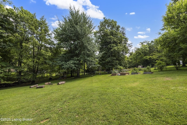 4221 Dolphin Rd, Louisville, KY 40220 - photo 48