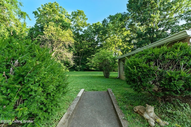 11801 Wetherby Ave, Louisville, KY 40243 - photo 3