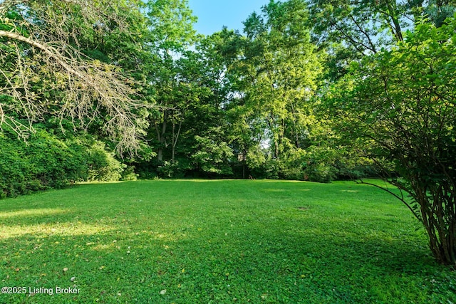 11801 Wetherby Ave, Louisville, KY 40243 - photo 5