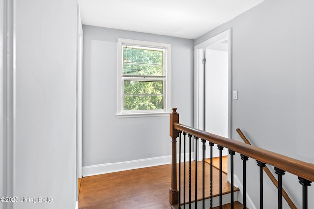 11801 Wetherby Ave, Louisville, KY 40243 - photo 27