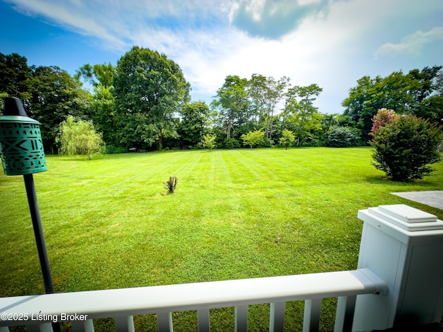 173 Megan Way, Falls Of Rough, KY 40119 - view of green lawn with view of wooded area