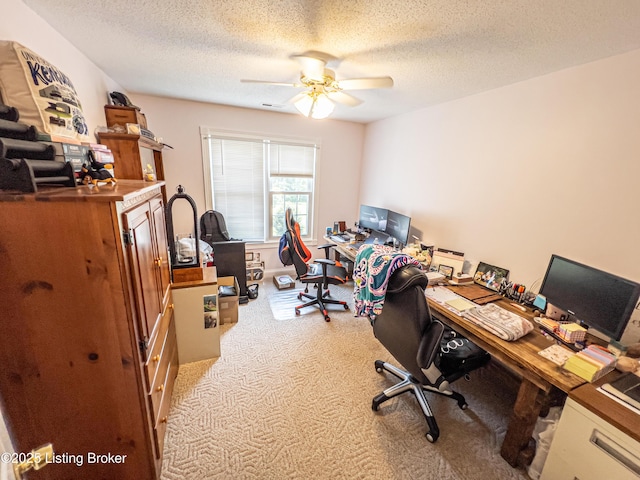 173 Megan Way, Falls Of Rough, KY 40119 - office space featuring a ceiling fan, light colored carpet, and a textured ceiling