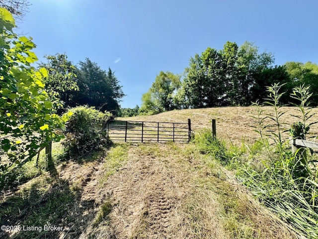 3500 Hardesty Rd, Willisburg, KY 40078 - photo 4