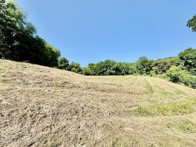 3500 Hardesty Rd, Willisburg, KY 40078 - photo 5