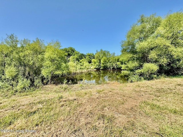 3500 Hardesty Rd, Willisburg, KY 40078 - photo 13