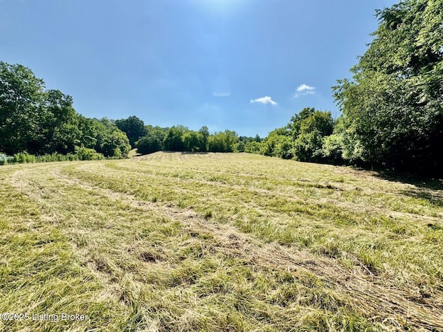 3500 Hardesty Rd, Willisburg, KY 40078 - photo 14