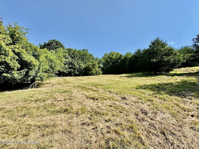 3500 Hardesty Rd, Willisburg, KY 40078 - photo 15
