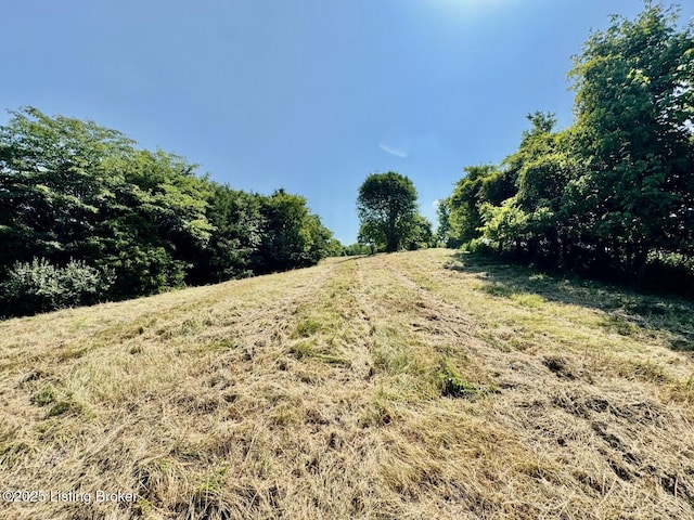3500 Hardesty Rd, Willisburg, KY 40078 - photo 16