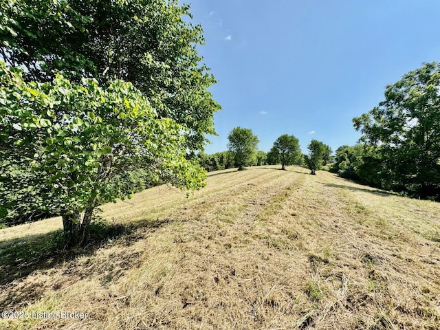 3500 Hardesty Rd, Willisburg, KY 40078 - photo 17