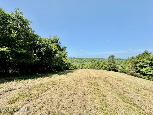 3500 Hardesty Rd, Willisburg, KY 40078 - photo 18